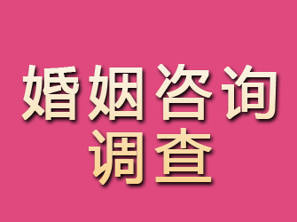 元氏婚姻咨询调查