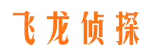 元氏婚外情调查取证